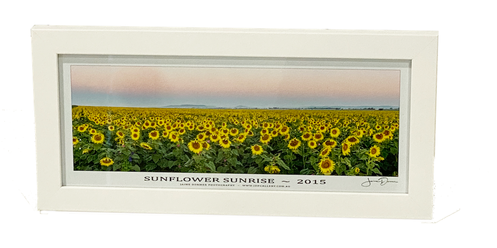 Desktop Frames Collection | 100% Australian Made by JDP Gallery