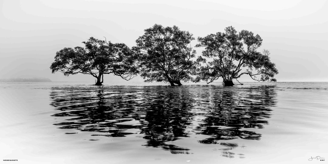 Nudgee Silhouette