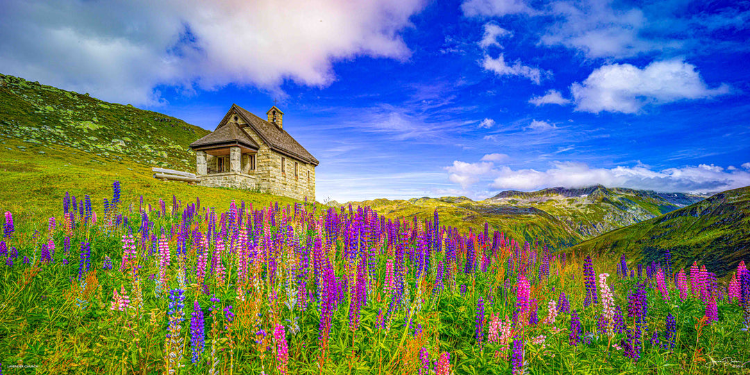 Lavender Church