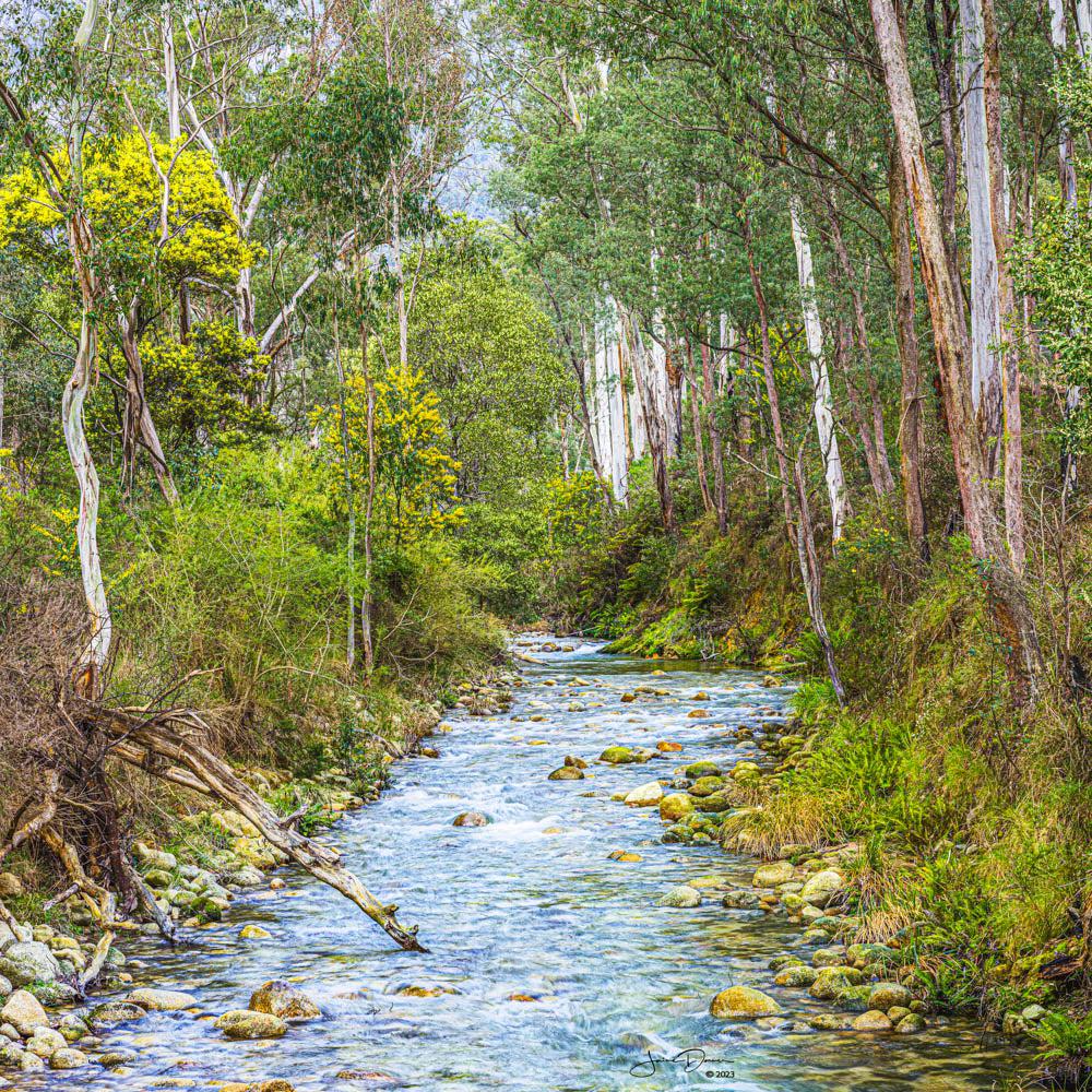 Alpine Force Creek (Square) QPuzzles