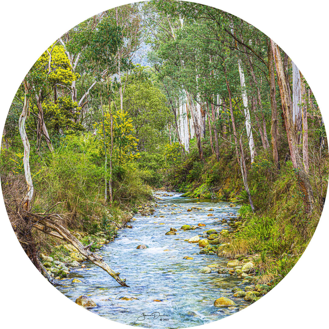 Alpine Forest Creek (Round)