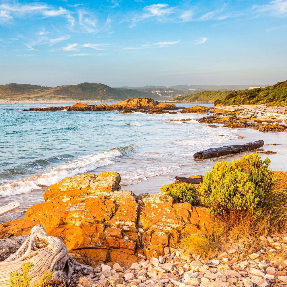 Arthur River Inlet (Square) QPuzzles