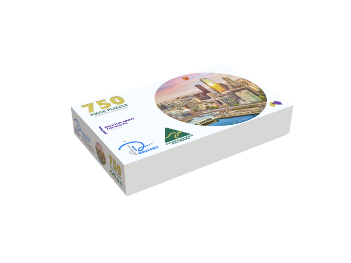 Balloon above the Rialto (Round)