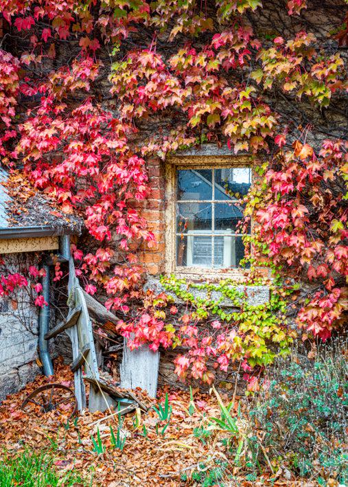 Barrow & Ivy (Portrait) QPuzzles