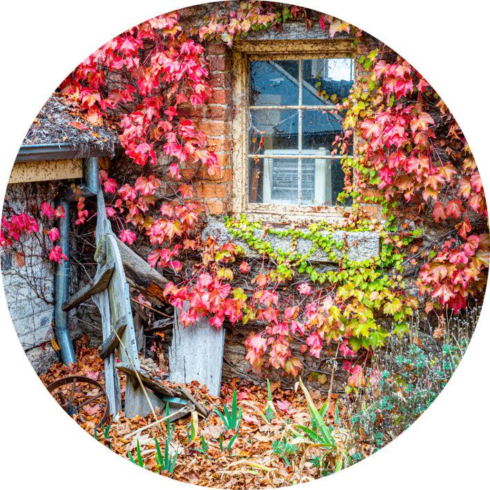 Barrow & Ivy (Round) QPuzzles