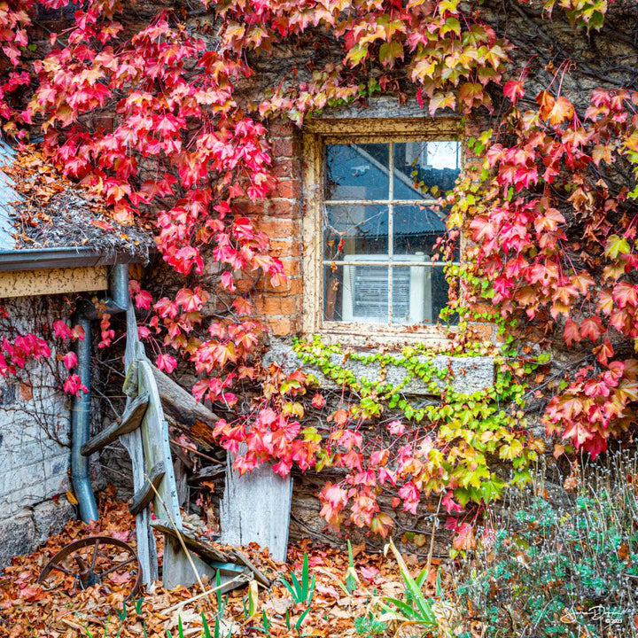 Barrow & Ivy (Square) QPuzzles