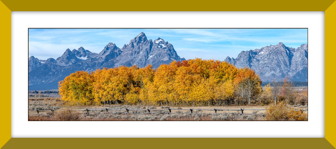 Below The Tetons