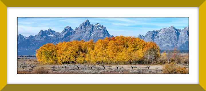 Below The Tetons