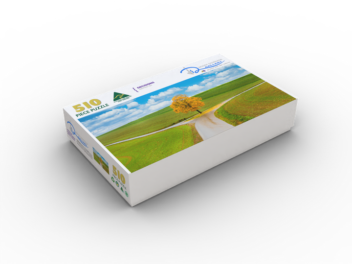 Decisions (Panorama) Puzzle