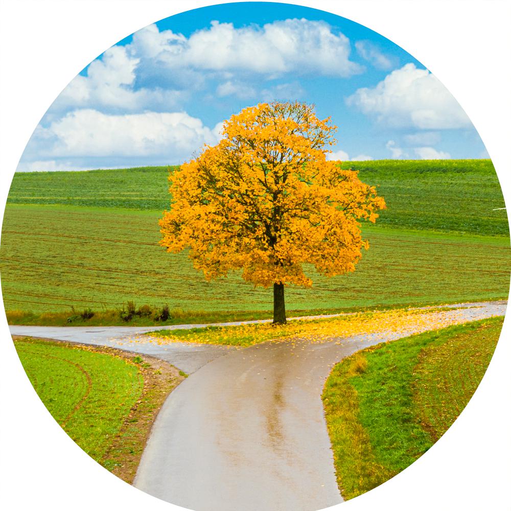 Decisions (Round) Jigsaw Puzzle by Artist Jaime Dormer and Manufactured by QPuzzles in Queensland