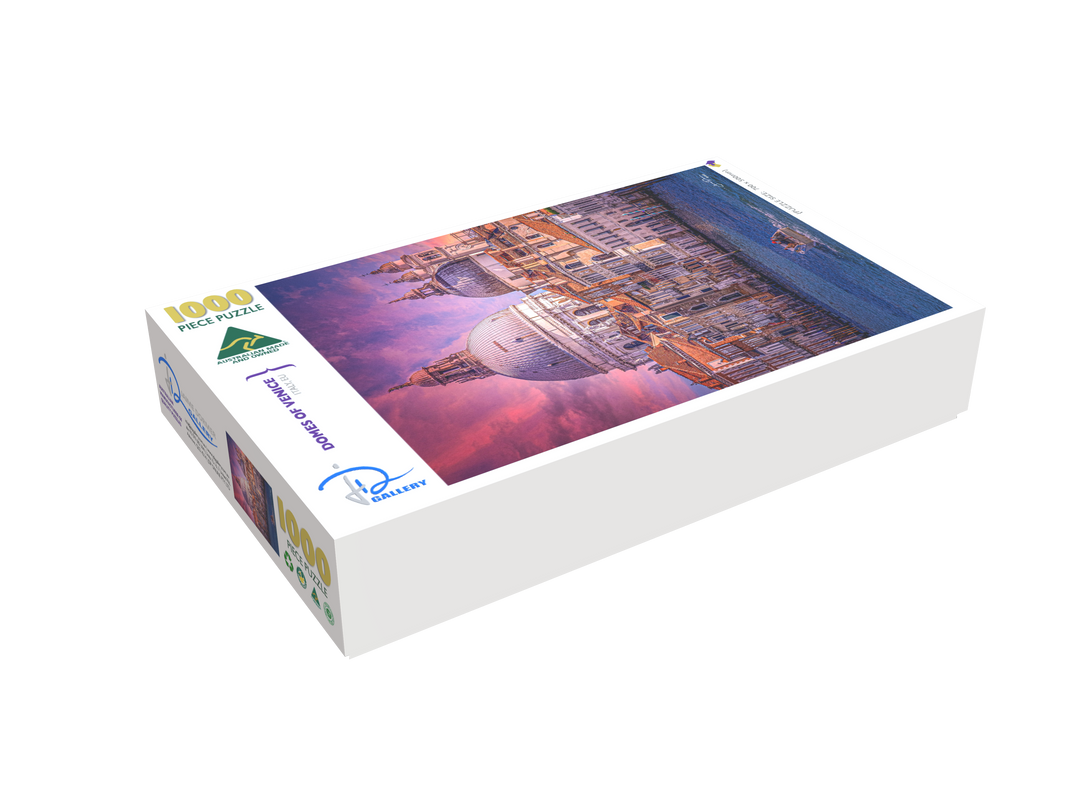 Domes of Venice (Portrait)