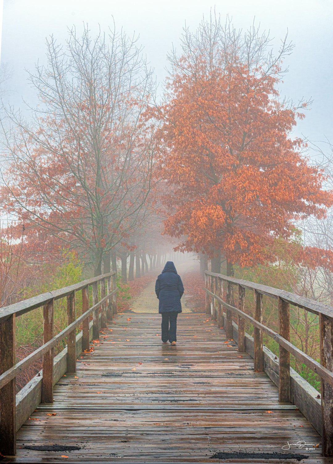 Early Morning Walk (Portrait)