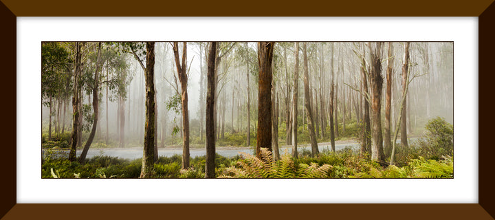 Mount Buller Mist