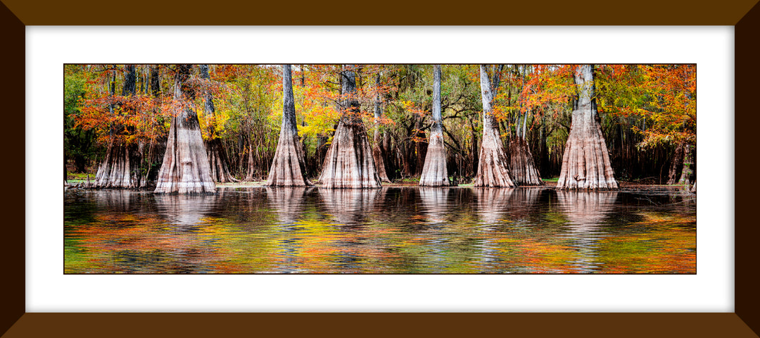 Okefenokee NP
