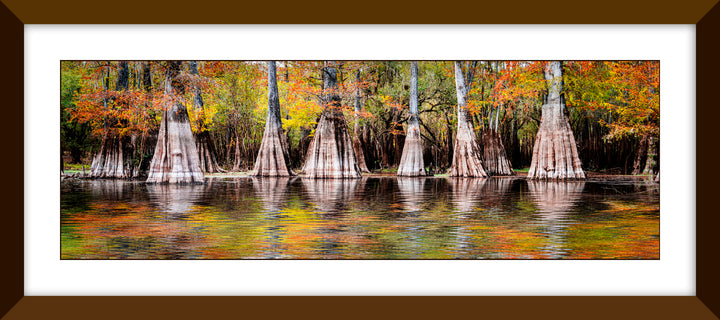 Okefenokee NP