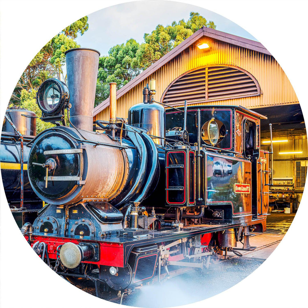 Mount Lyell No3 (Round) Jigsaw Puzzle by Artist Jaime Dormer and Manufactured by QPuzzles in Queensland