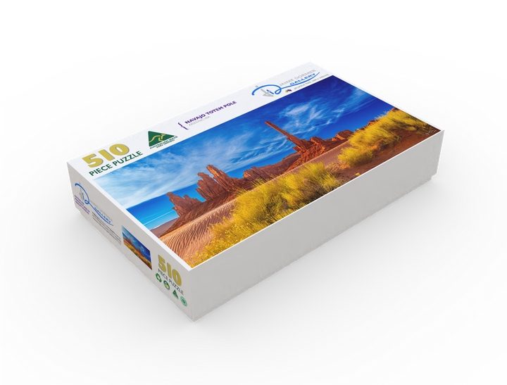 Navajo Totem Pole (Panorama)