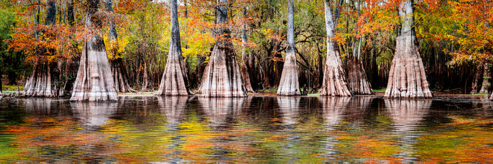 Okefenokee NP