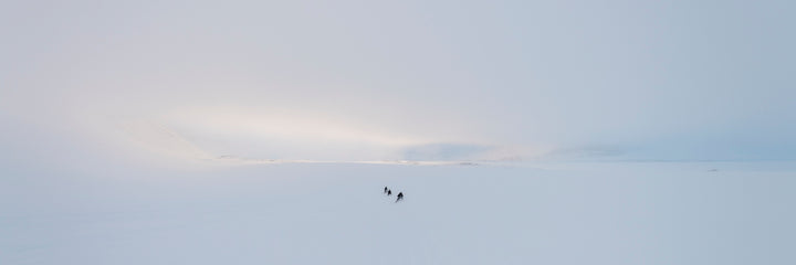 Out of the Abyss