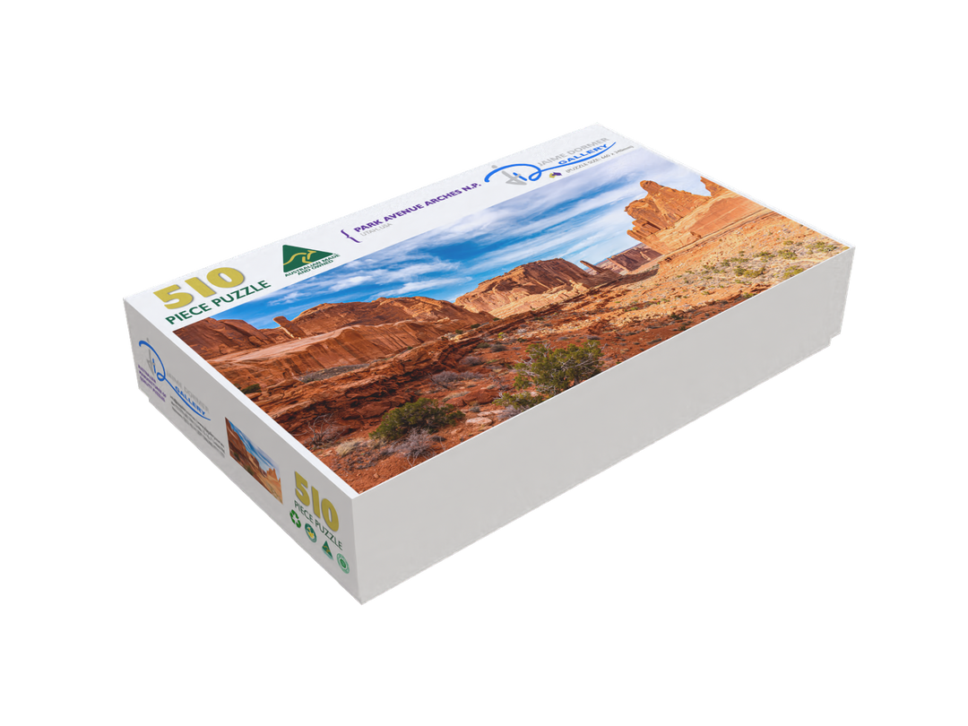 Park Avenue Arches NP (Panorama) Puzzle