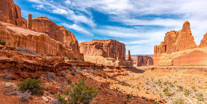 Park Avenue Arches NP (Panorama) Puzzle