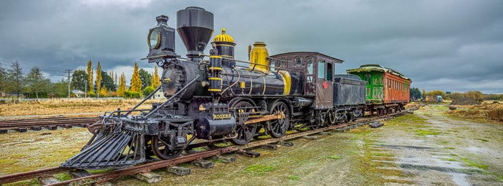 Rogers K92 (Pano) Jigsaw Puzzle by Artist Jaime Dormer and Manufactured by QPuzzles in Queensland