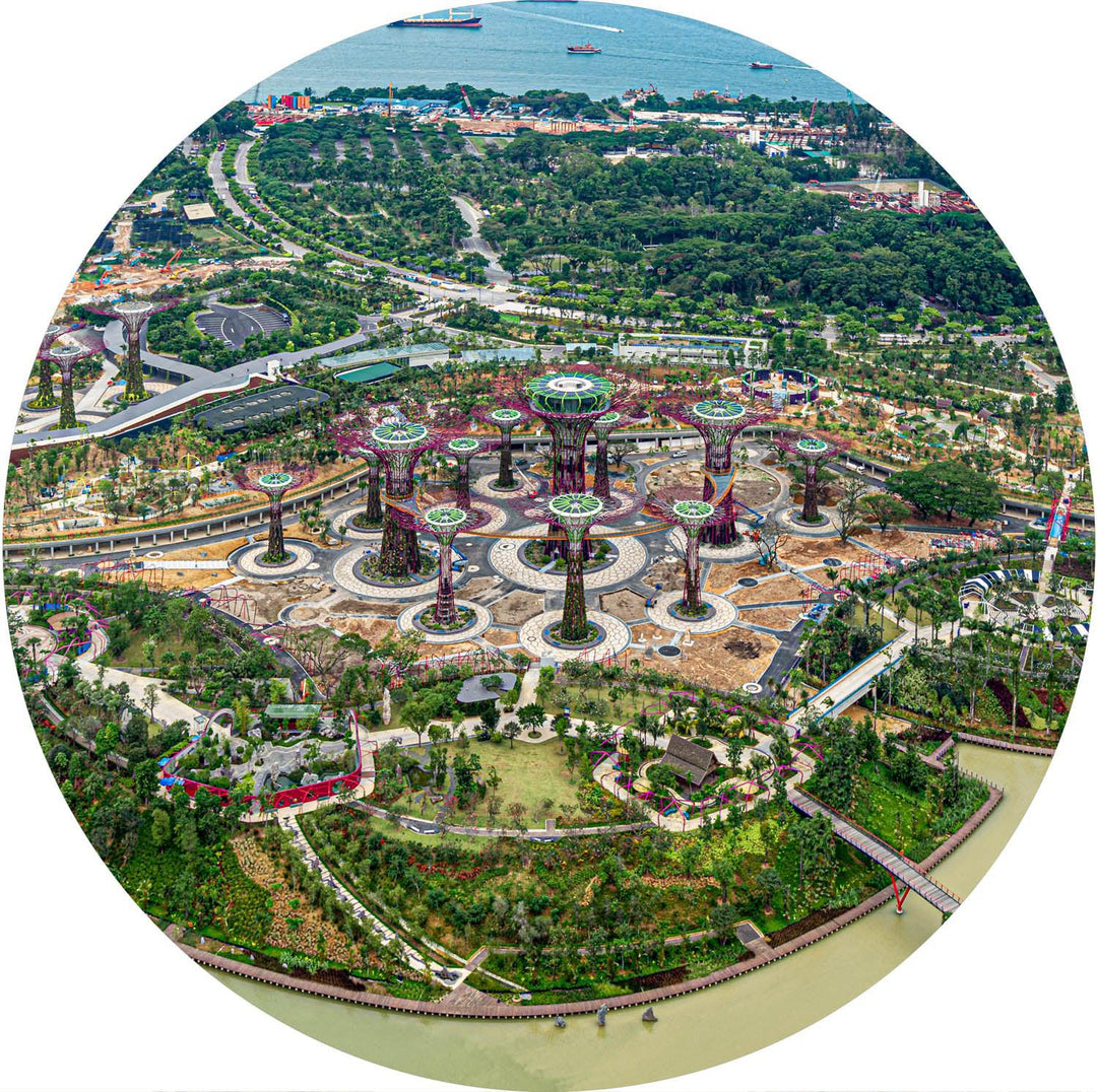 Supertree Grove (Round) Jigsaw Puzzle by Artist Jaime Dormer and Manufactured by QPuzzles in Queensland