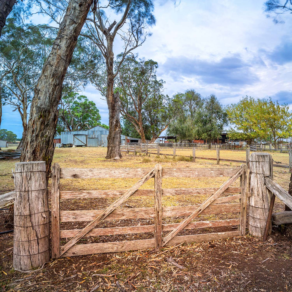 The Last Gate (Square) Jigsaw Puzzle by Artist Jaime Dormer and Manufactured by QPuzzles in Queensland