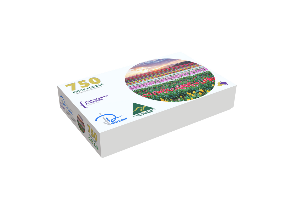 Tulip Rainbow at Sunrise (Round)