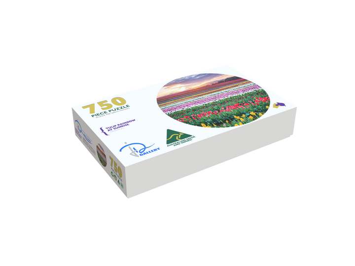 Tulip Rainbow at Sunrise (Round)