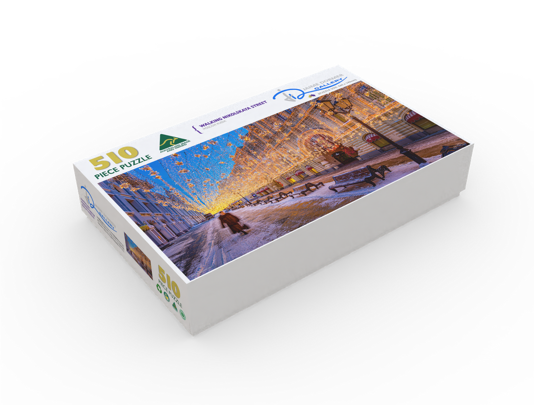 Walking Nikolskaya Street (Panorama)