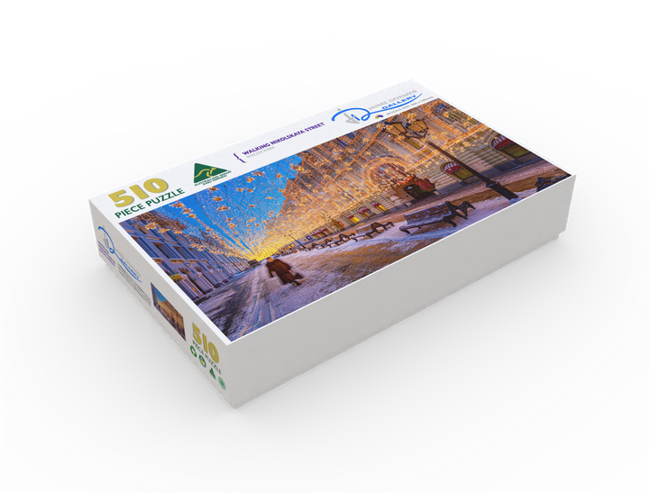 Walking Nikolskaya Street (Panorama)