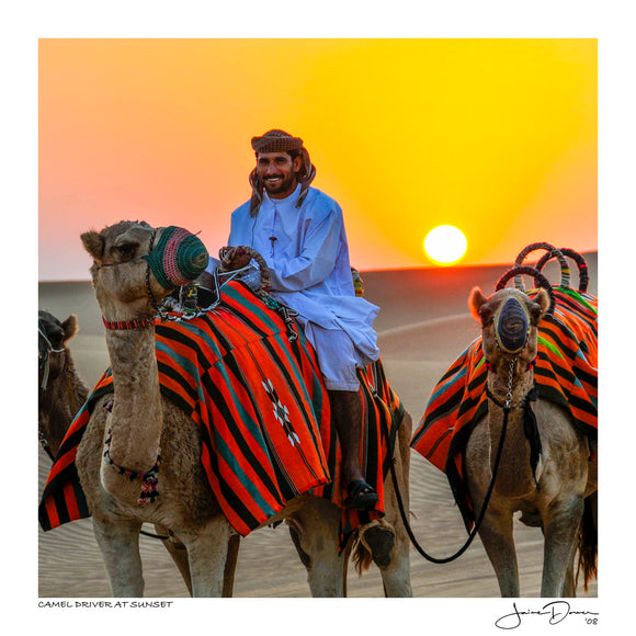Camel Driver at Sunset II