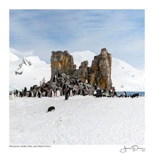 Penguin Shelter Antarctica II