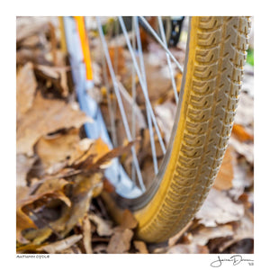 Autumn Cycle