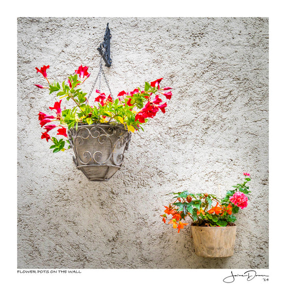 Flower Pots on the Wall