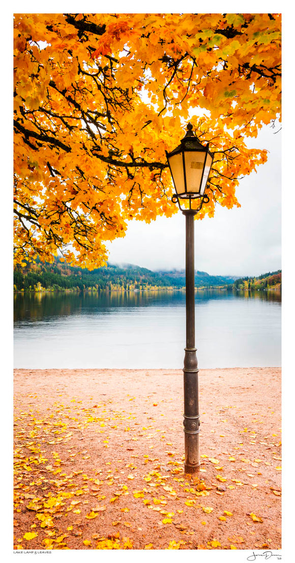 Lake Lamp & Leaves