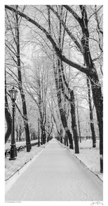St Petersberg Winter I