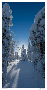 Snowman Forest