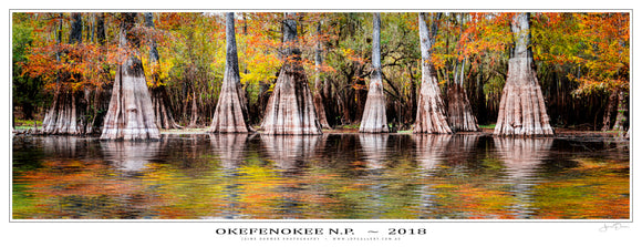 Okefenokee NP Poster