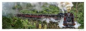 Belgrave Steam Trains II
