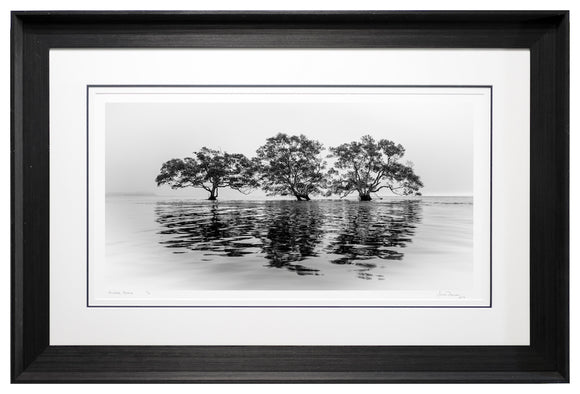 Nudgee Beach (Exhibition)