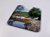 Outback #1 Coasters (Set of 8)