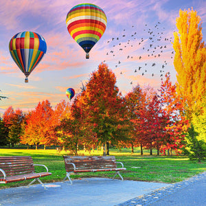 Canberra Autumn (Square) Jigsaw Puzzle by Artist Jaime Dormer and Manufactured by QPuzzles in Queensland
