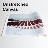UnStretched Canvas Prints