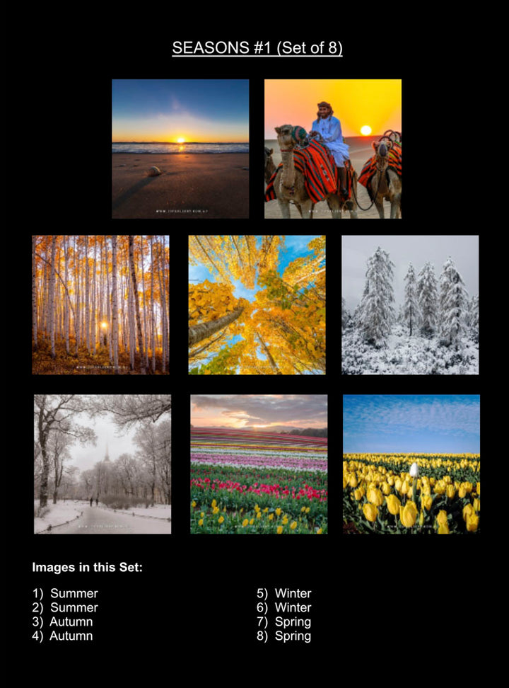 Eternal Seasons Coaster Collection (Set of 8)