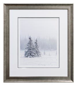 Denali Snow Pines (Exhibition)