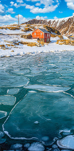 Ice Lillys (Panorama) QPuzzles