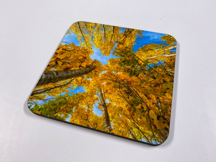 Eternal Seasons Coaster Collection (Set of 8)