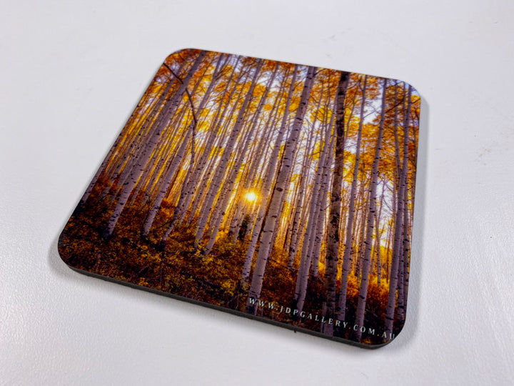 Eternal Seasons Coaster Collection (Set of 8)